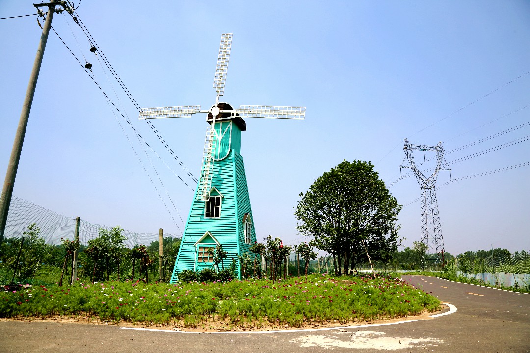 san_he_hua_yuan_-lan_se_feng_che_2.jpg